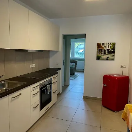 Felsenblick アパート プフォルツハイム